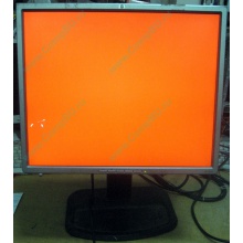 Монитор 19" TFT HP 1955 (DVI в Волжском, USB-хаб) "квадратный" (Волжский)
