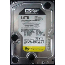 НЕРАБОЧИЙ жесткий диск 1Tb WD RE3 WD1002FBYS (Волжский)