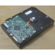 Жесткий диск HP 250Gb 7200 rpm 432337-001/ 399699-001 / 397377-004 (Волжский)