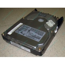 Жесткий диск 18.4Gb Quantum Atlas 10K III U160 SCSI 80 pin (Волжский)
