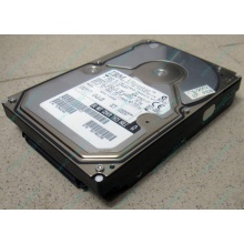 Жесткий диск 18.2Gb IBM Ultrastar DDYS-T18350 Ultra3 80 pin SCSI (Волжский)