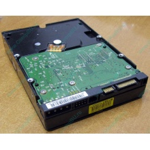 Б/У жёсткий диск 400Gb WD WD4000YR Caviar RE2 7200 rpm SATA  (Волжский)