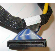 Кабель SCSI HP 166298-037 для HP ML370 G4 (Волжский)