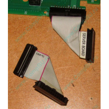 6017B0045701 Шлейф 24 pin для Intel C74974-401 T0043401-B01 корпуса SR2400 (Волжский)