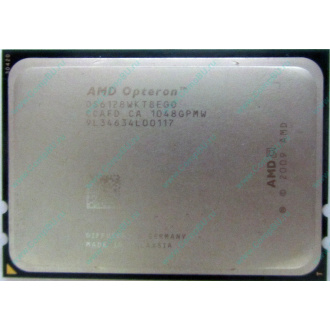 AMD Opteron 6128 OS6128WKT8EGO (Волжский)