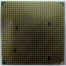 Процессор AMD Athlon 64300+ (1.8GHz) ADA3000IAA4CN s.AM2 (Волжский)